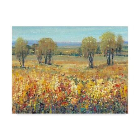 Tim Otoole 'Golden Fields Ii' Canvas Art,18x24